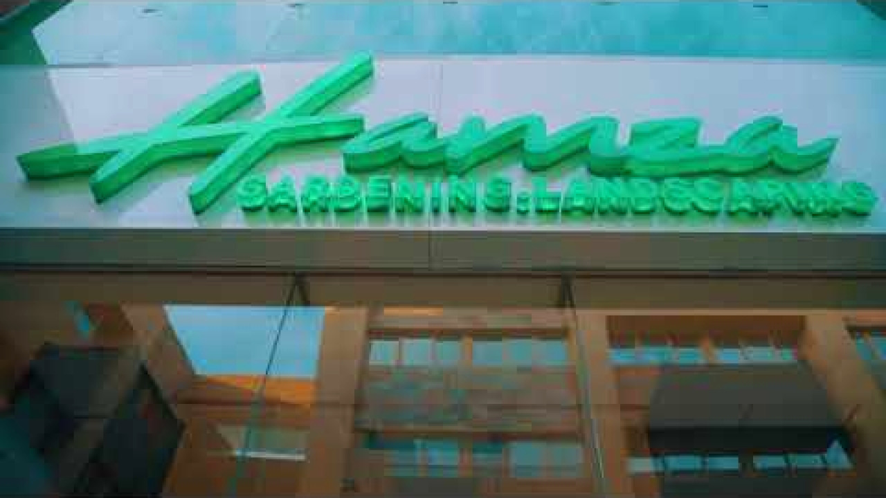 Hamza store - shekh zayed for gardens